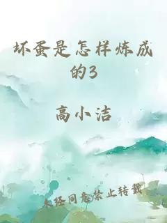 坏蛋是怎样炼成的3