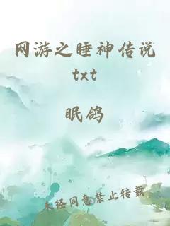 网游之睡神传说txt