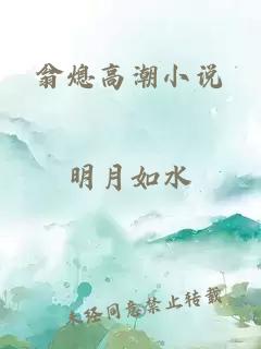 翁熄高潮小说