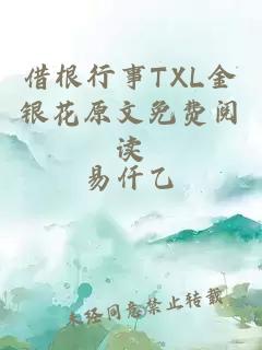 借根行事TXL金银花原文免费阅读