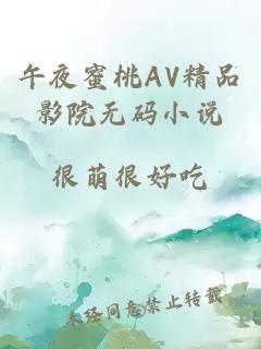 午夜蜜桃AV精品影院无码小说