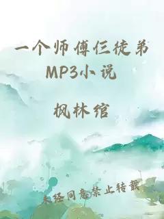 一个师傅仨徒弟MP3小说