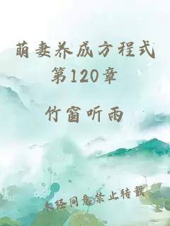 萌妻养成方程式第120章