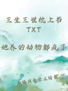 三生三世枕上书TXT