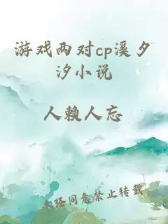 游戏两对cp溪夕汐小说