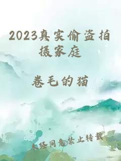 2023真实偷盗拍摄家庭