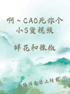 啊～CAO死你个小S货视频