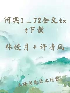 阿宾1—72全文txt下载