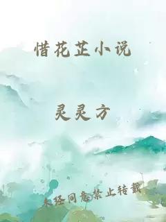 惜花芷小说