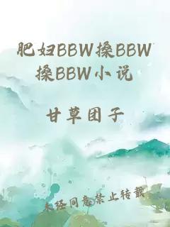 肥妇BBW搡BBW搡BBW小说