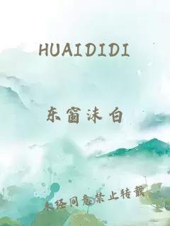 HUAIDIDI