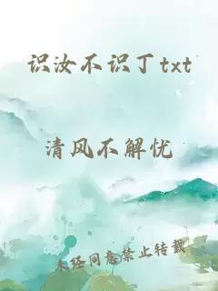 识汝不识丁txt