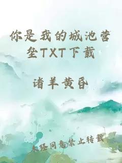 你是我的城池营垒TXT下载