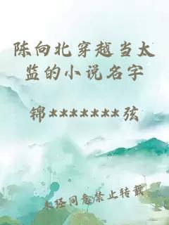 陈向北穿越当太监的小说名字