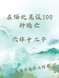 在缅北见证100种逃亡