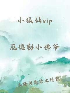 小狐仙vip