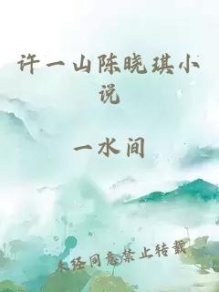 许一山陈晓琪小说