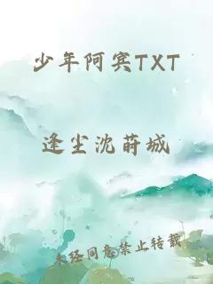 少年阿宾TXT