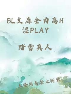 BL文库全肉高H湿PLAY