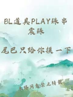 BL道具PLAY珠串震珠