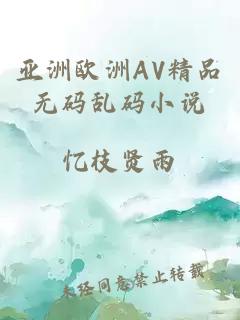 亚洲欧洲AV精品无码乱码小说