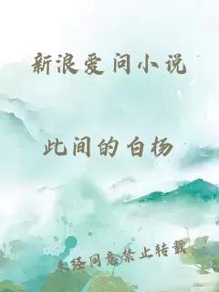 新浪爱问小说