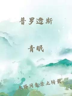 普罗透斯