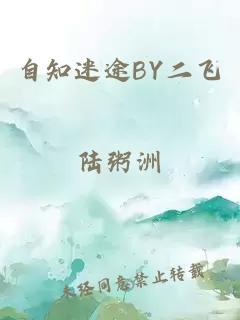 自知迷途BY二飞