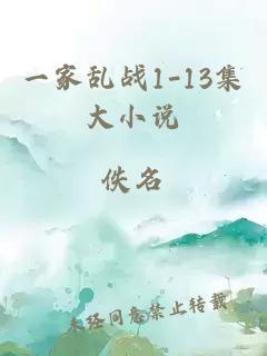 一家乱战1-13集大小说