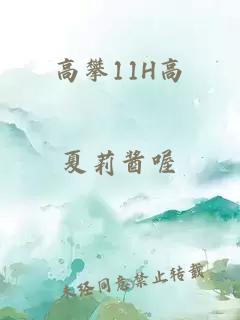 高攀11H高