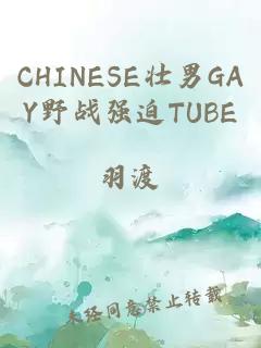 CHINESE壮男GAY野战强迫TUBE