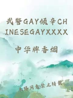 武警GAY倾辛CHINESEGAYXXXX