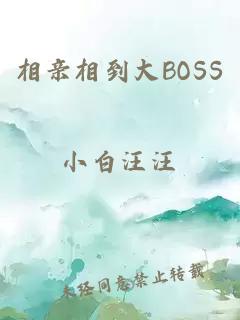 相亲相到大BOSS