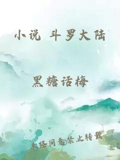 小说 斗罗大陆