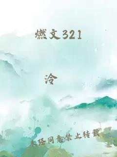 燃文321