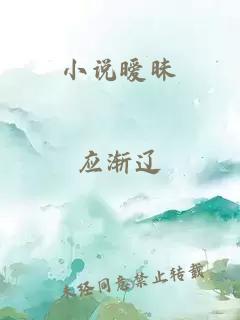 小说暧昧