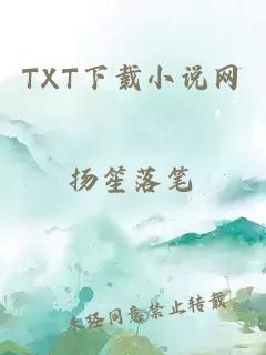 TXT下载小说网