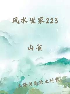 风水世家223