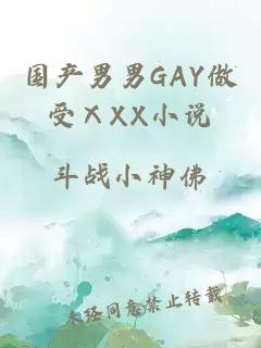 国产男男GAY做受ⅩXX小说