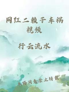 网红二赖子车祸视频