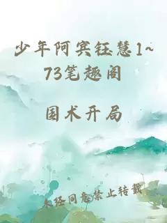 少年阿宾钰慧1~73笔趣阁