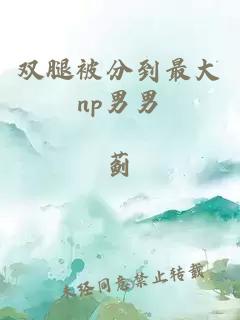 双腿被分到最大np男男