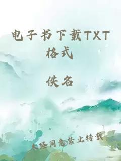 电子书下载TXT格式