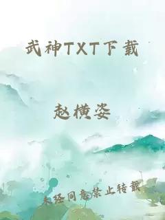 武神TXT下载