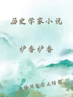 历史学家小说