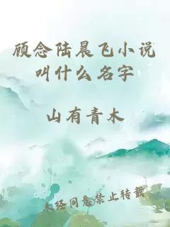 顾念陆晨飞小说叫什么名字