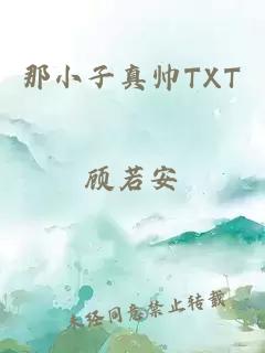 那小子真帅TXT