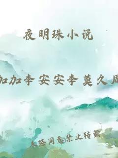 夜明珠小说