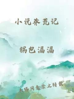 小说莽荒记