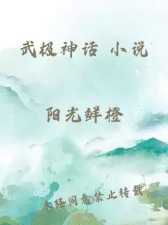 武极神话 小说